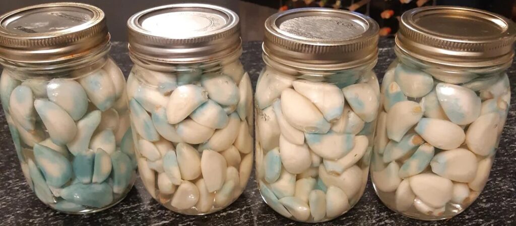 Fermented Garlic Blue