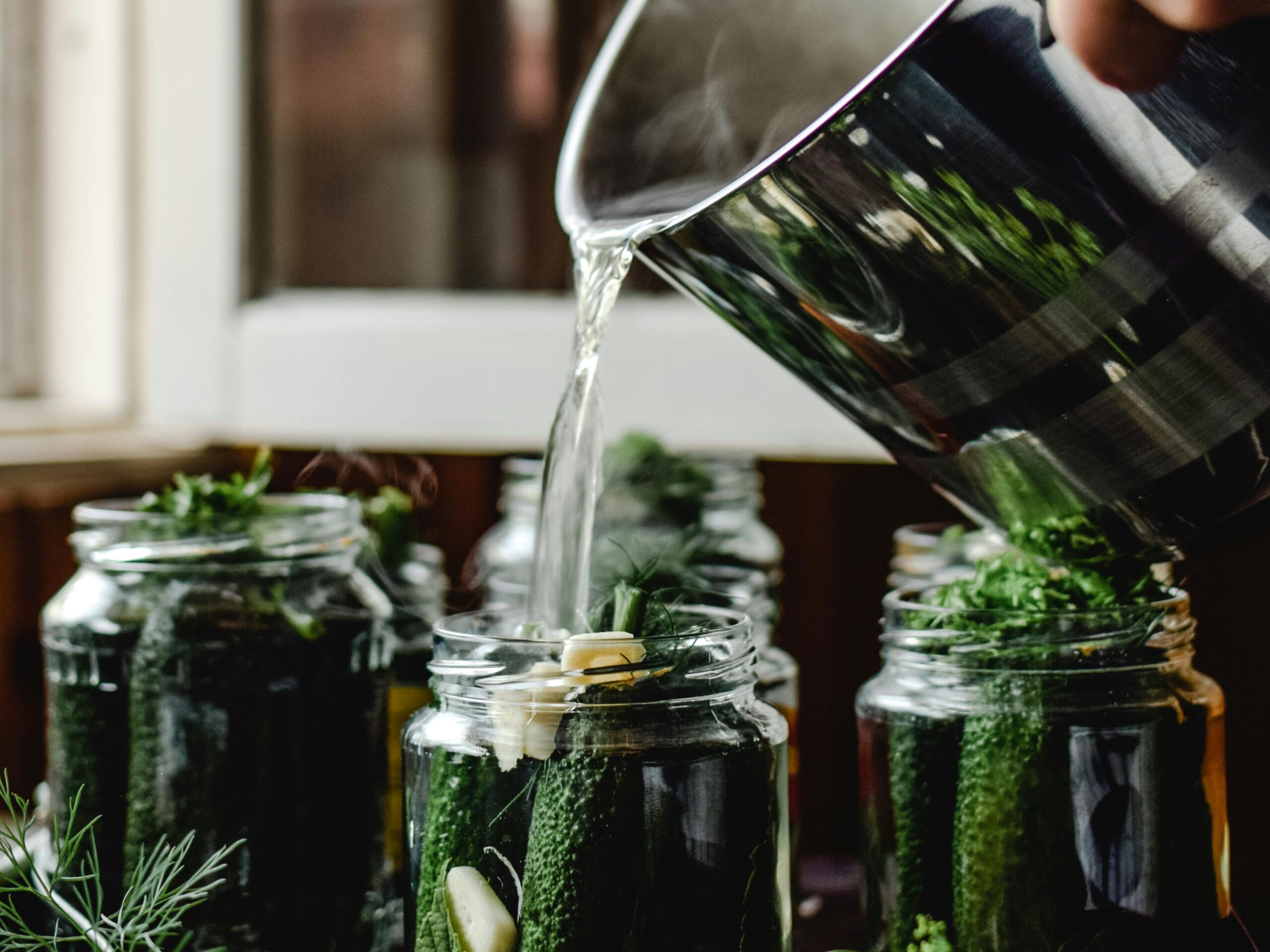 Wet brine example: Person pouring saltwater brine into jars packed with cucumbers, garlic, and herbs for fermentation.