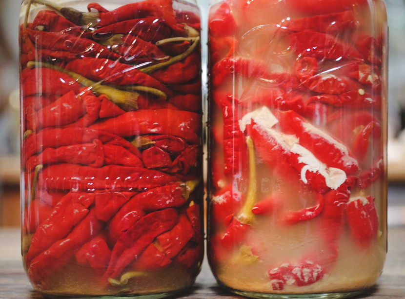 Is Kahm Yeast Dangerous or Normal? What You Need to Know