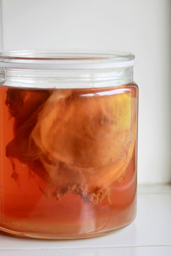 kombucha for gut health