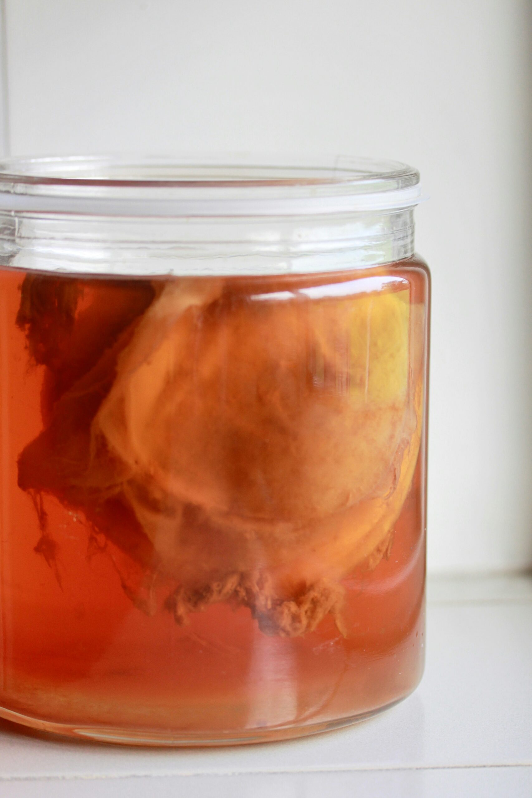 Is Kombucha Actually Good for Gut Health